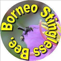 BEEZ BORNEO SDN. BHD. logo