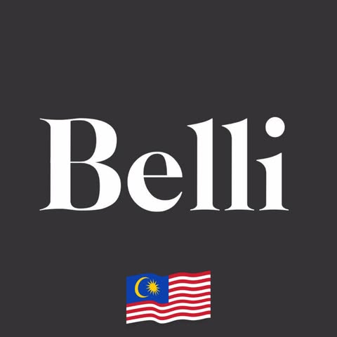 BELLI FURNISHING SDN. BHD. logo