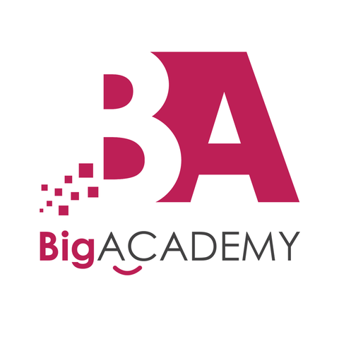 BIG ACADEMY SDN. BHD. logo