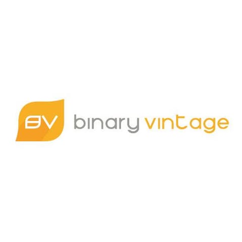 BINARY VINTAGE SDN. BHD. logo