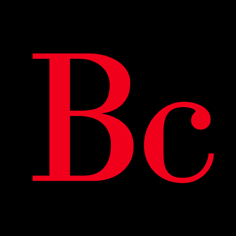 BRANDCHARACTER SDN BHD logo