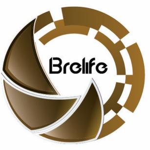 BRELIFE ART GALLERY SDN BHD logo