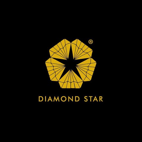 DIAMOND STAR SDN BHD logo