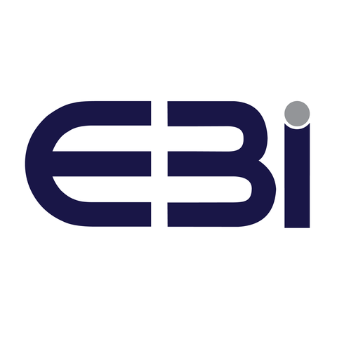 E B I CONSULTANT & SERVICES (M) SDN BHD logo