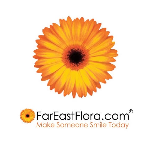 FAR EAST FLORA.COM SDN. BHD. logo