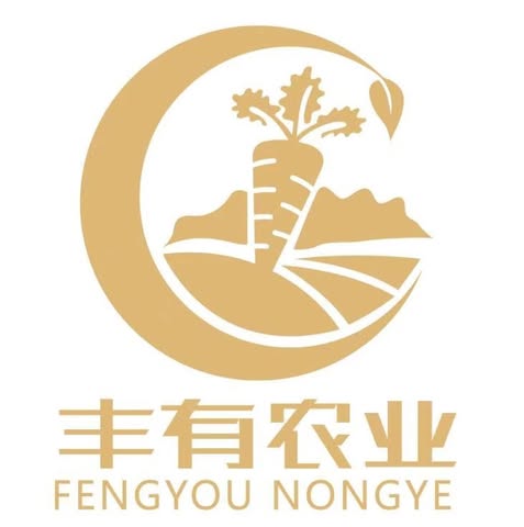 FENGYOU FRUITS & VEGETABLES (M) SDN. BHD. logo