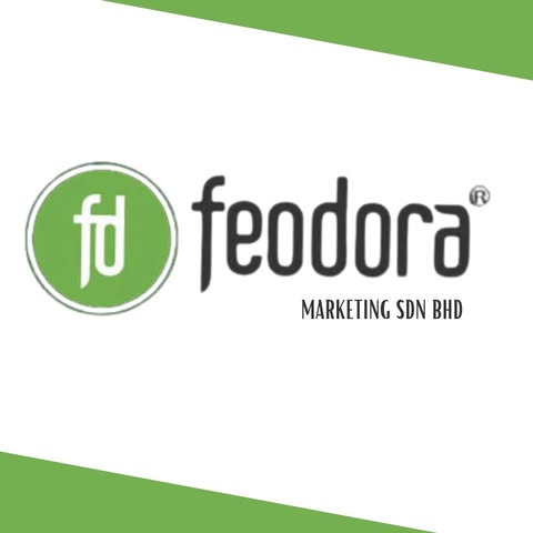FEODORA CONSULTANCY SDN BHD logo