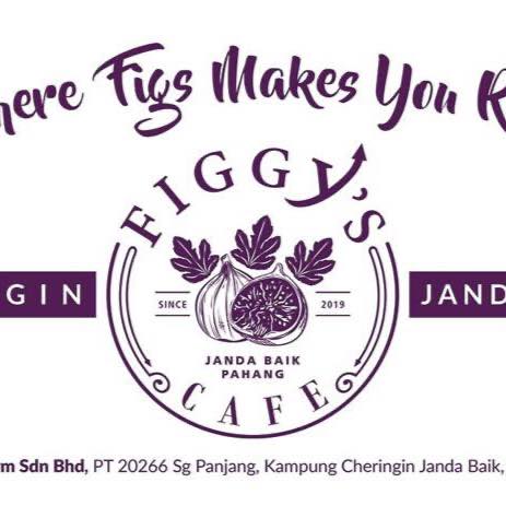 FIGGYS (M) SDN. BHD. logo