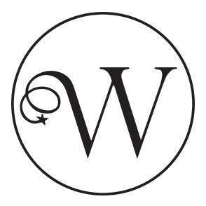 FIVE WIZARDS SDN. BHD. logo