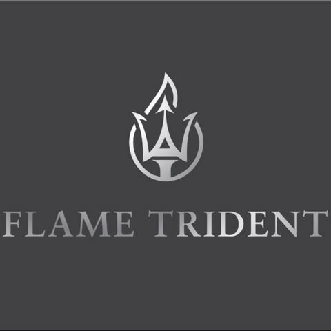 FLAME TRIDENT (M) SDN. BHD. logo