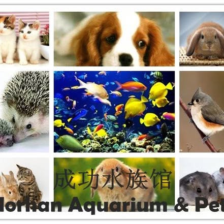 FLORHAN AQUARIUM AND PETS (M) SDN. BHD. logo