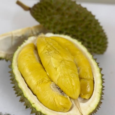 HAN FENG FRUITS AND VEGETABLES SDN. BHD. logo