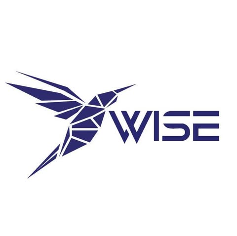 I WISE SOLUTIONS SDN. BHD. logo