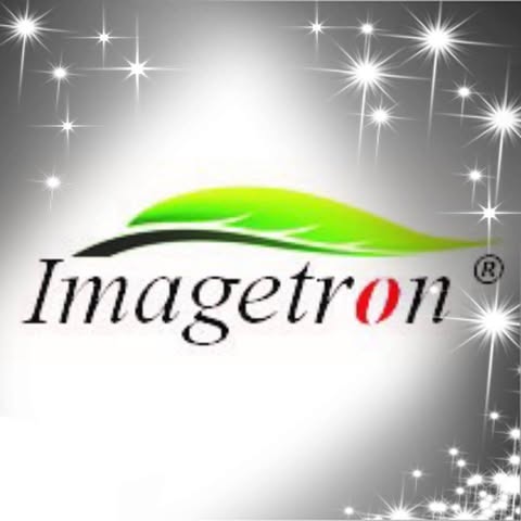 IMAGETRON TECHNOLOGY SDN. BHD. logo