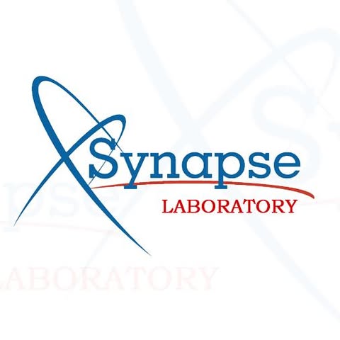 ISYNAPSE SDN. BHD. logo