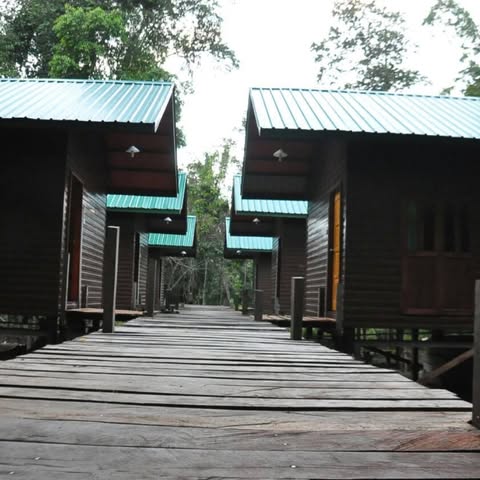 KINABATANGAN SUNSHINE TOURS SDN BHD logo