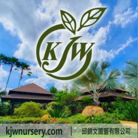 KJW NURSERY SDN. BHD. logo