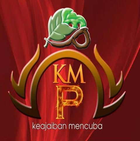 KM POWER SDN. BHD. Logo