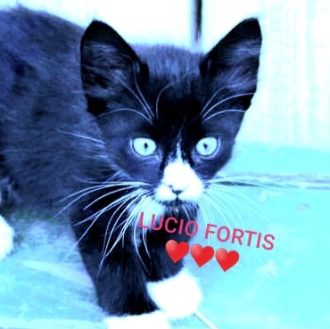 LUCIO FORTIS SDN. BHD. logo
