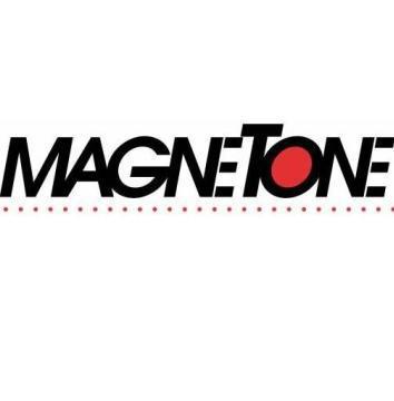 MAGNETONE IT STORE SDN BHD logo