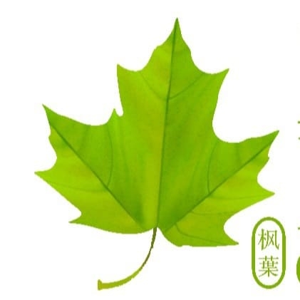 MAPLE DECOR SDN. BHD. logo