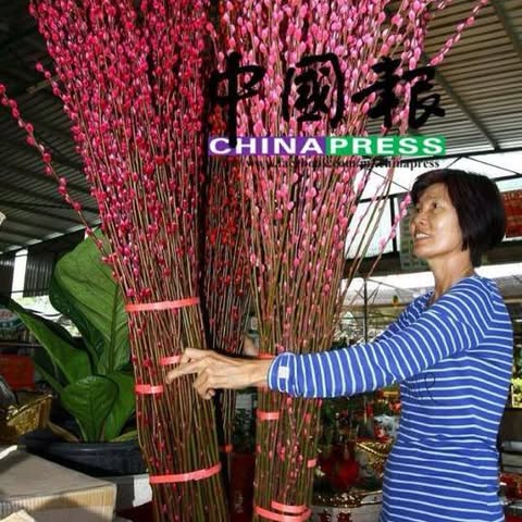 OASIS HORTICULTURE SDN. BHD. Logo