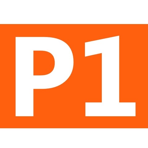 P1 INTERNATIONAL GROUP SDN BHD logo