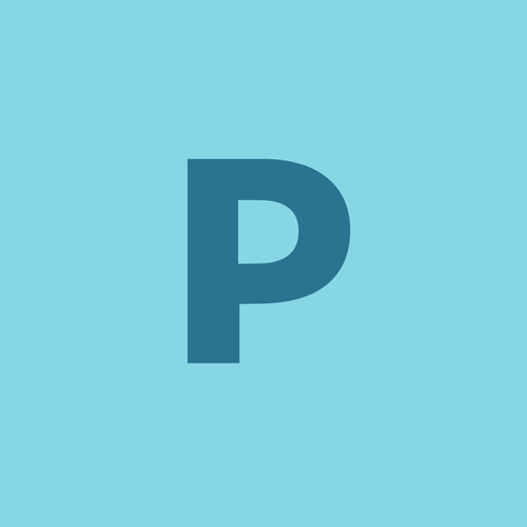 PALMS VILLA DEVELOPMENT SDN. BHD. logo