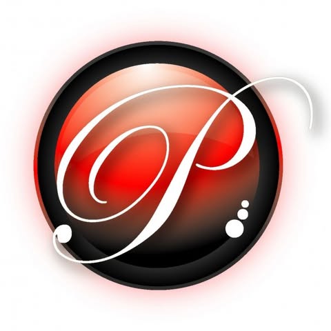 PLATINUM STAR COACH SDN. BHD. logo