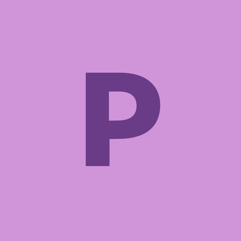 PRAISE SDN BHD logo