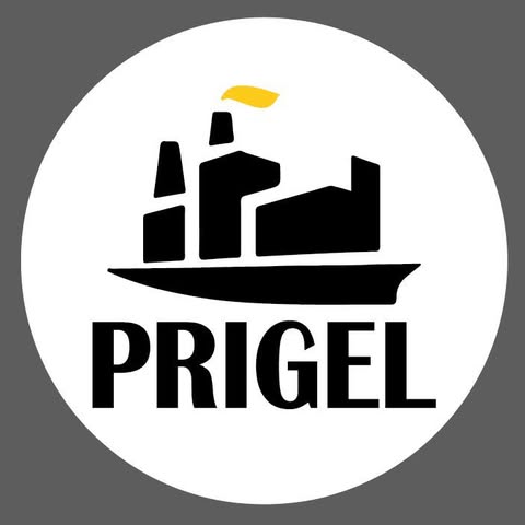PRIGEL VENTURES SDN. BHD. logo
