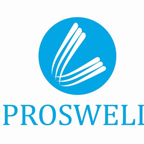 PROSWELL INDUSTRIAL SUPPLIES SDN. BHD. Logo