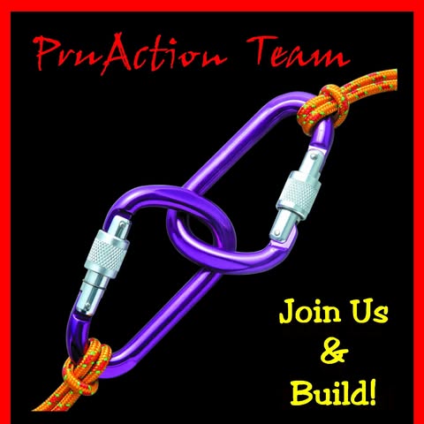PRUACTION TEAM (M) SDN. BHD. logo