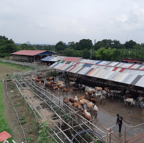 PUCHONG WHOLESALE AGRO FARM (M) SDN. BHD. Logo